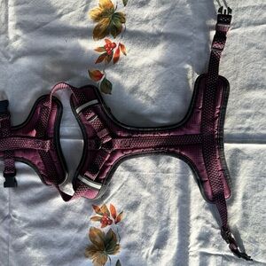 Plush Plum Purple Padded Dog Harness - Adjustable & Comfortable 🐾
